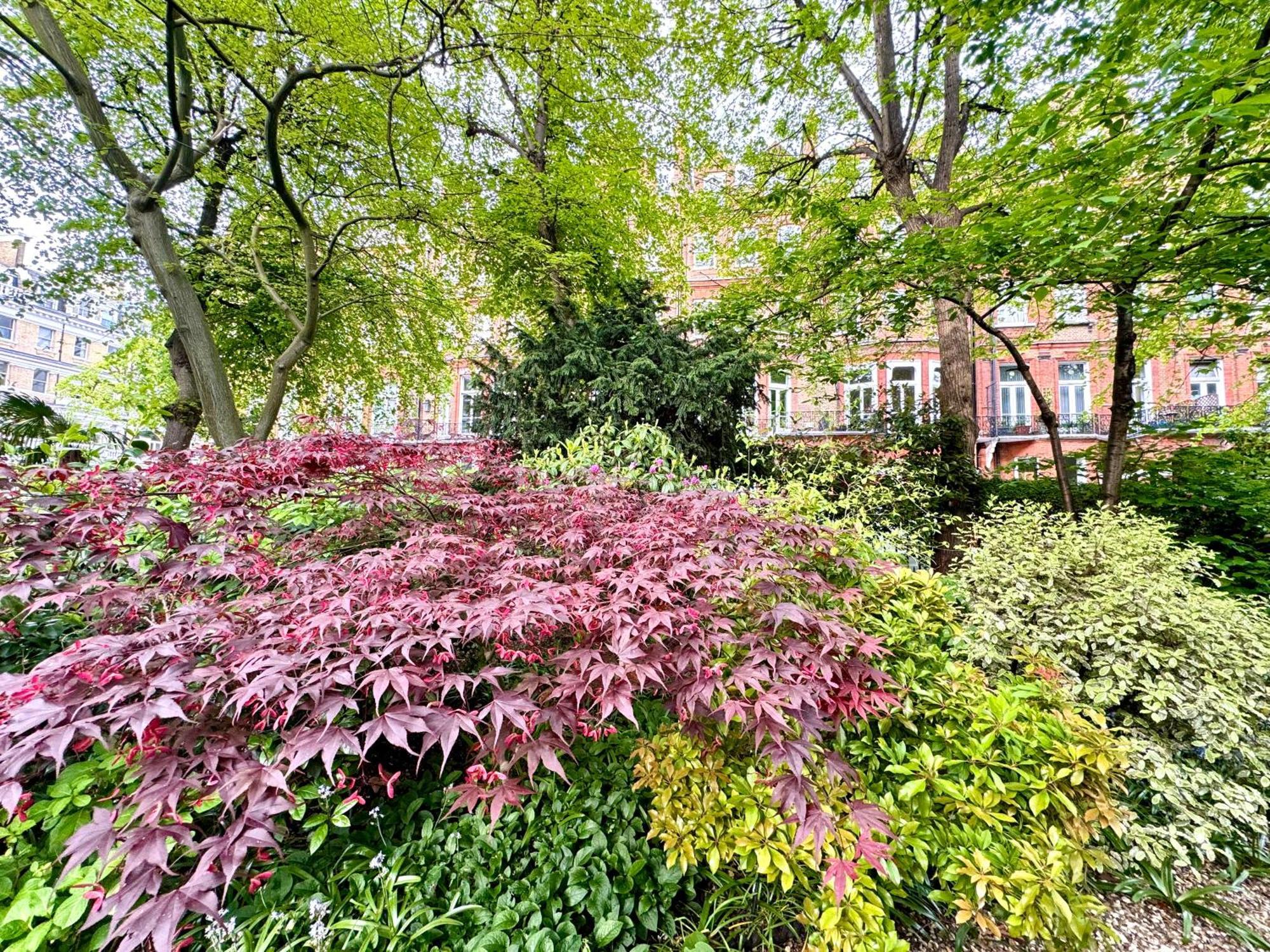 2 Bedroom Apartment In Central London South Kensington By Wild Londra Dış mekan fotoğraf